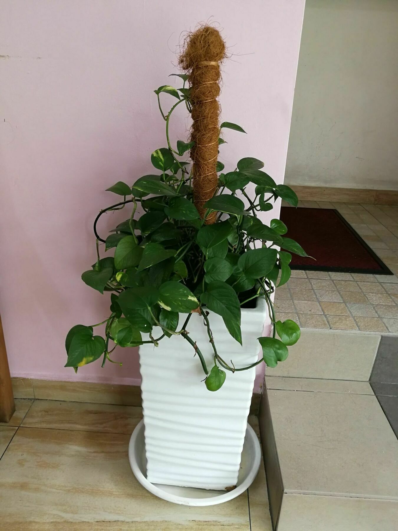 Oyo 172 Spring Hotel Kuala Lumpur Kültér fotó